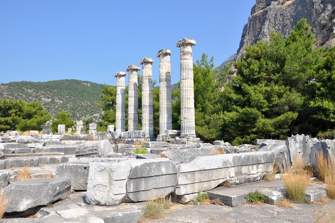 Priene Miletos Didyma Tour From Kusadasi / Selcuk Hotels - Uncovering Miletus