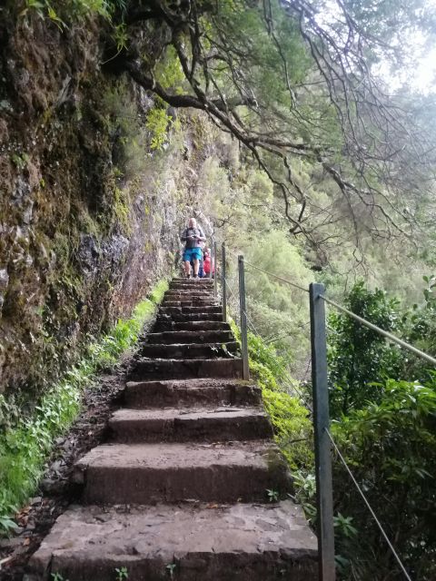 Private - 25 Fontes and Risco Waterfall Guided Tour - Drive Back to Madeira