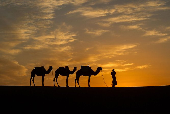 Private 3-Days Desert Tour From Zagora to Erg Chigaga Dunes & Camel Trek - Discovering the Zagora Region