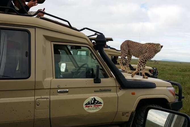 Private 4 Days Safari in Tarangire, Serengeti and Ngorongoro - Booking Information