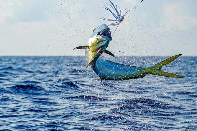 Private 6 Hour Fishing Charter in Nassau - Guest Reviews