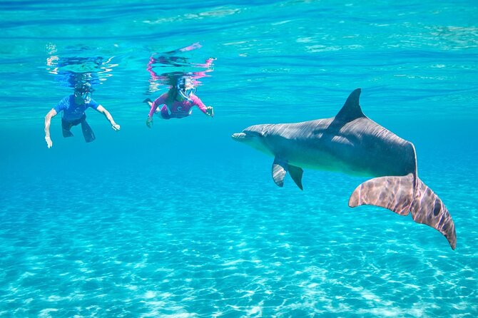 Private Boat to Dolphin House Full Day Snorkeling Sea Trip Max 10 Pax - Hurghada - Additional Costs and Fees