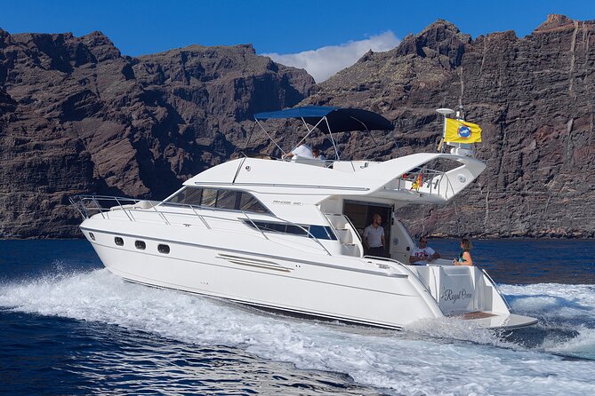 Private Boat Tour on Royal Ocean Yacht, Tenerife - Private Tour Experience