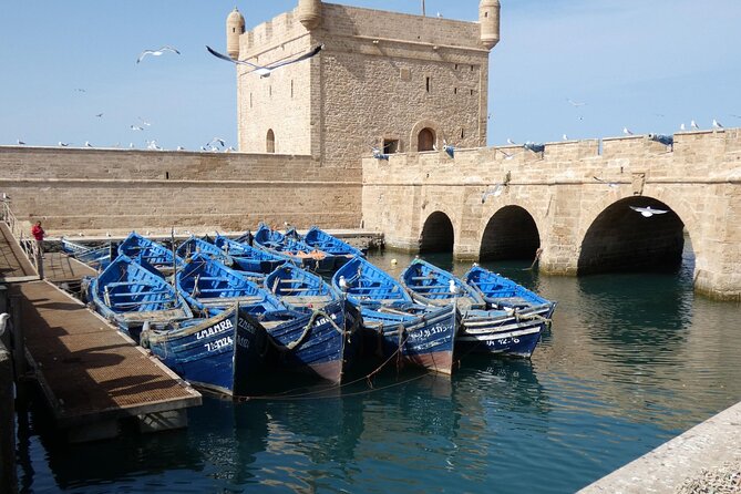 Private Day Trip to Essaouira From Marrakesh - Private Tour and Group Details