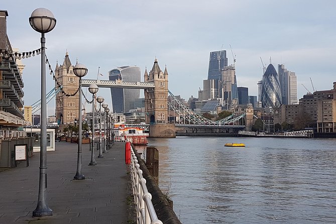 Private Driver Guided Tour London - Accessibility Information