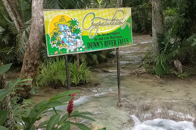 Private Dunns River Falls From Ocho Rios - Reviews and Pricing