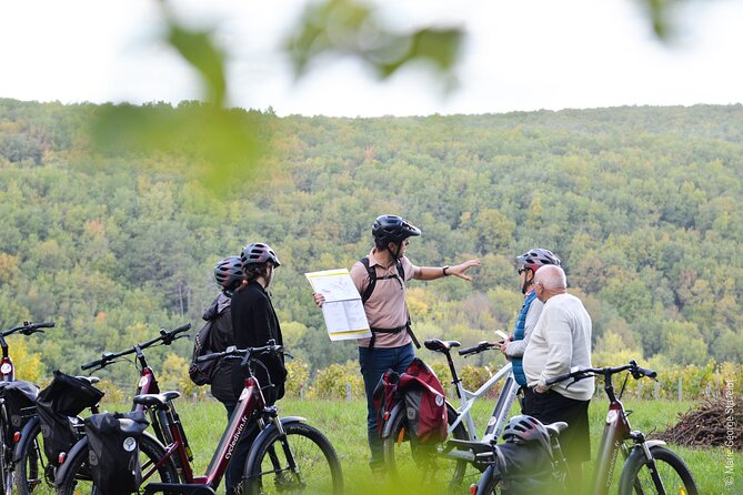 Private E-Bike Tour With a Guide in the Vineyards of Chablis - Customization Options