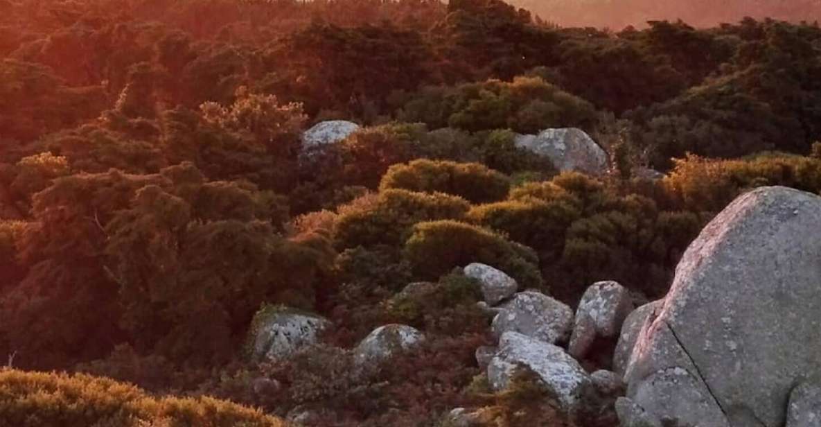 Private Evening Walk: Sintra Mountains Inbetween Wolves - Terrain and Difficulty