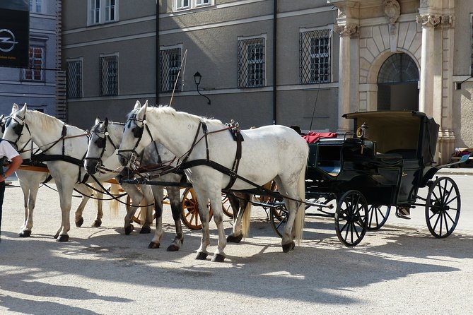 Private Full Day Tour to Salzburg From Vienna With a Local Guide - Admission and Accessibility