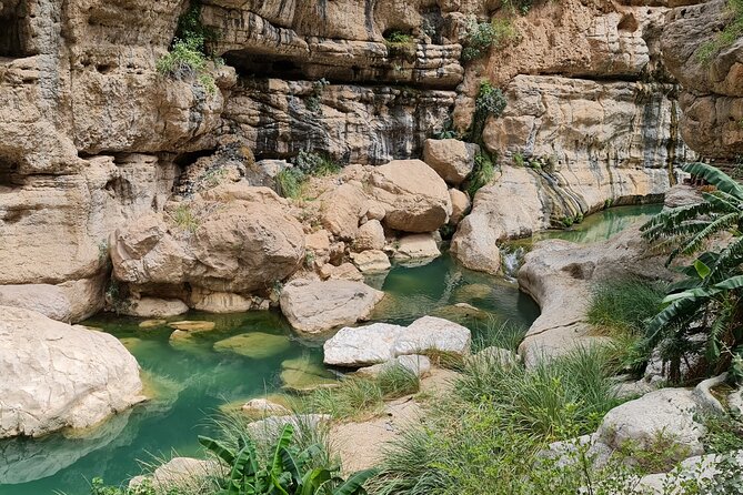 Private Full-Day Wadi Tiwi and Bimmah Sinkhole Tour From Muscat - Transportation and Guide