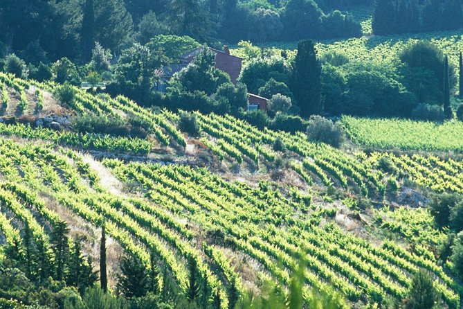 Private Full Day Wine Tour in Provence - Pickup and Tour Details