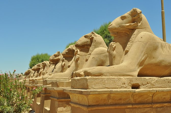 Private Guided Tour Valley of the King ,Queen Hatshepsut, &Memnon - Getting to the Sites