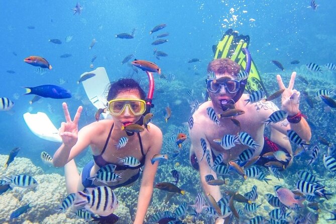 Private Half-Day Speed Boat and Snorkeling Tour in Punta Cana - Traveler Reviews