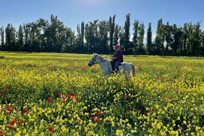 Private Horse Ridding Tour - Professional Instructor Expertise