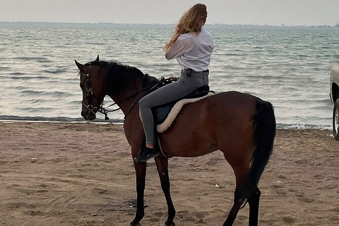 Private Horse Riding Experience at Red Sea - Highlights of the Tour