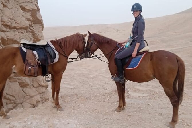 Private Horse Riding Tour in Luxor West Bank - What to Expect