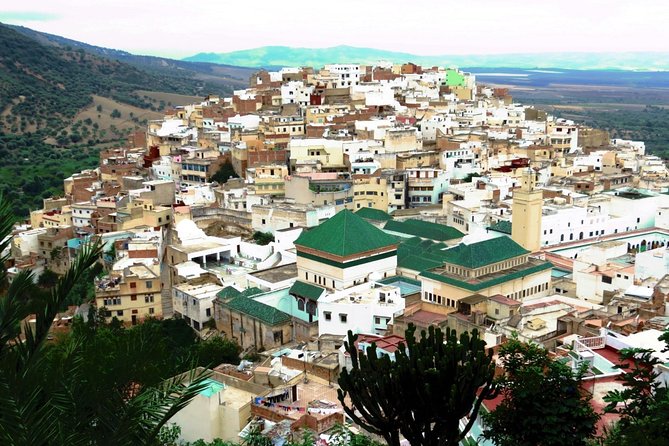 Private Meknes Volubilis -Mouly Idriss Day Trip From Fez - Highlights of the Tour