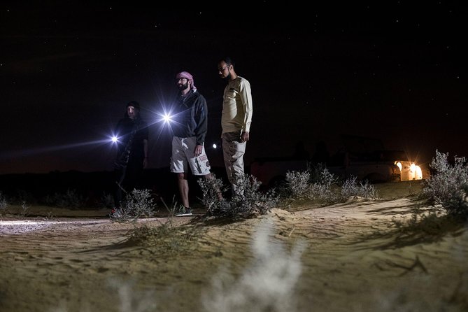 Private Night Vintage Land Rover Desert Safari & Stargazing - Nocturnal Animal Spotting