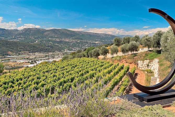 Private Organic Wine & Provence Food Tasting Tour (From Nice) - Cancellation Policy