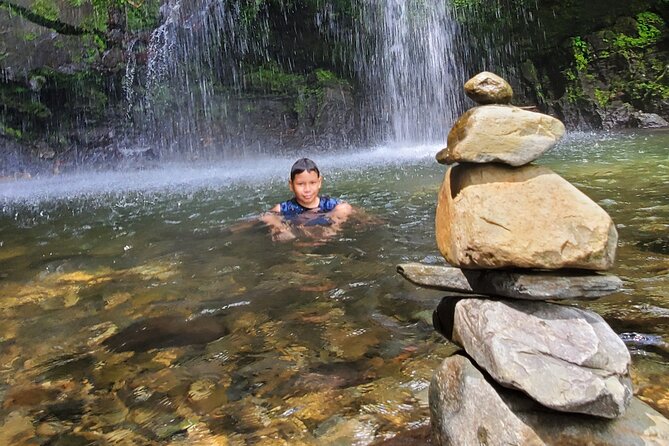 Private Rainforest Waterfalls and Beach Hiking Tour From San Juan - Exploring Toro Negro State Rainforest