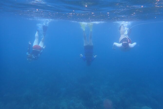 Private Rincon Snorkeling Adventure - Suitability for Children