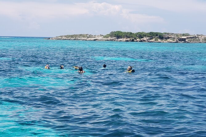 Private Rose Island Tour Snorkeling Fishing Swimming With Pigs - Infant Accommodations