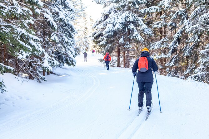 Private, Same Day Round Trip Shuttle Vancouver to Whistler - Accessibility and Participation