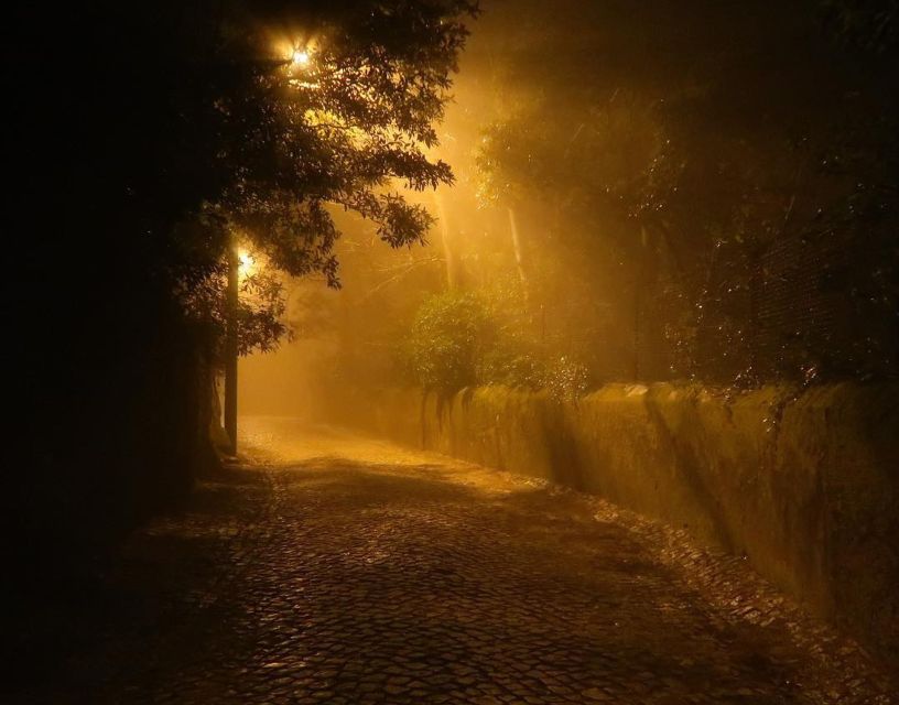 Private Sintra Night Walk: Dreams in the Woods - Exploring Sintras History