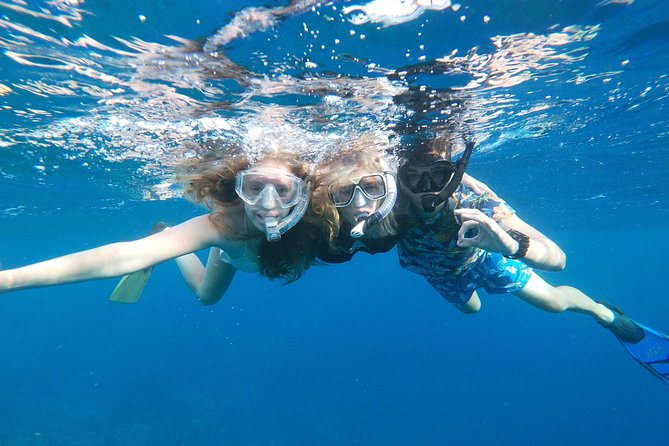 Private Snorkel With 2 Stops in Aruba - Eco-Friendly! - Guest Reviews and Ratings