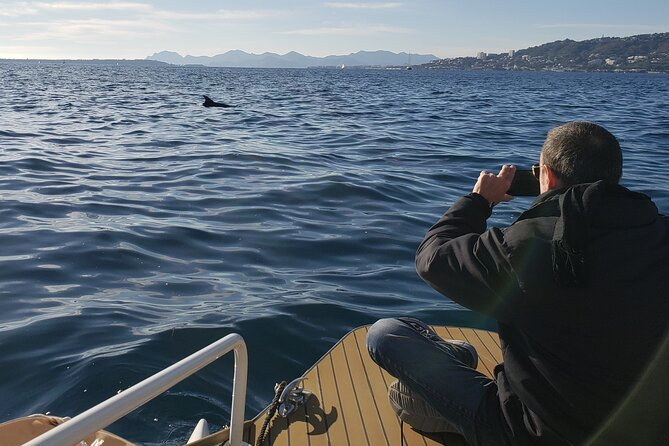 Private Solar Catamaran Cruise in Antibes Juan Les Pins - Eco-Friendly Solar-Powered Catamaran