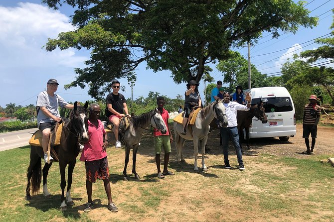 Private Tour From Montego Bay to Ocho Rios Horse Back Riding & Blue Hole Falls - Private and Personalized Experience