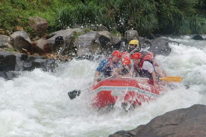 Private Tour From Ocho Rios to Rafting and Tubing - Confirmation and Accessibility