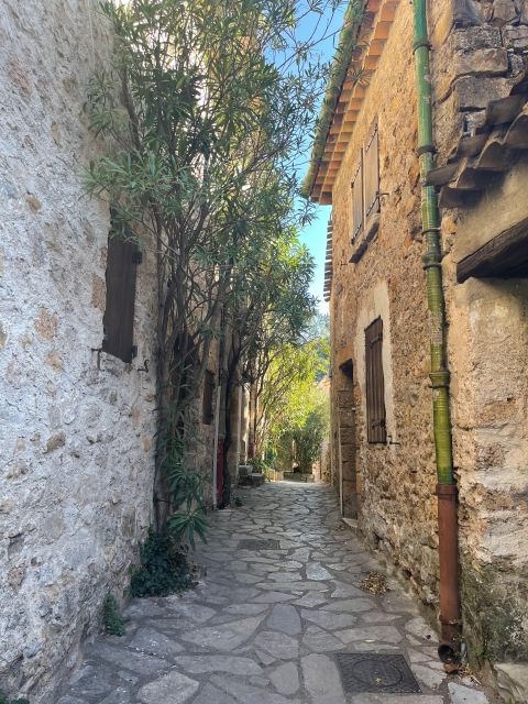 Private Tour of Saint Guilhem and the Devils Bridge - Tour Guide and Language