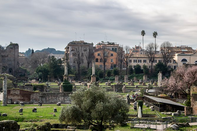 Private Tour of the Colosseum Forums Palatine Hill & Ancient Rome - Entry Requirements