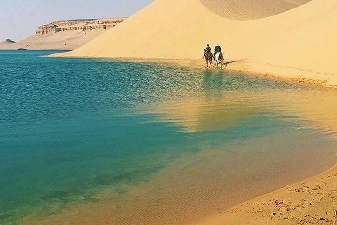 Private Tour to Fayoum Oasis, Valley of the Whales & Wadi Al Rian From Cairo. - Tunisian Village Dining Experience