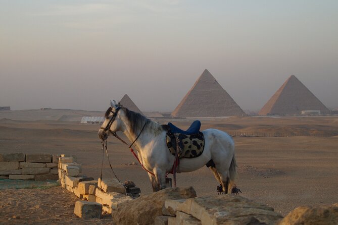 Private Tour to Giza Pyramids, Sphinx and Egyptian Museum - Cancellation Policy