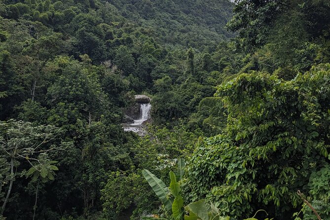 Private Tour to Pristine Swimming Hole In Puerto Rico Jungle - Guest Ratings