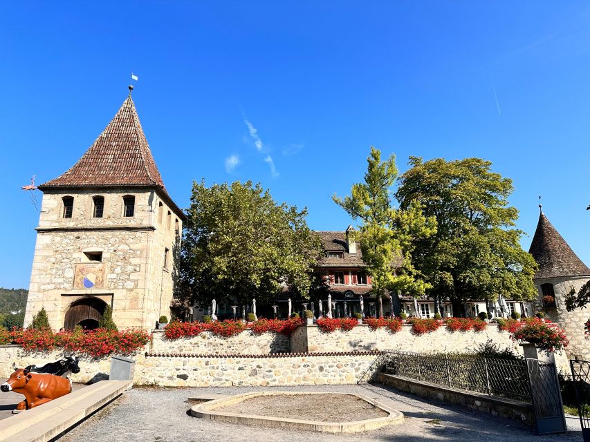 Private Tour to the Rhine Falls With Pick-Up at the Hotel - Accessibility Considerations