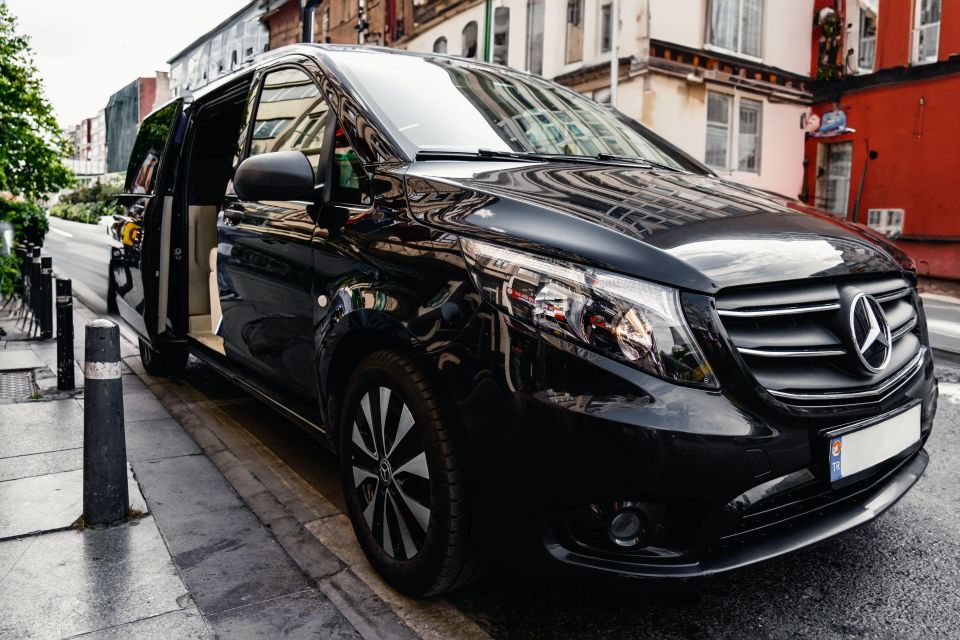 Private Transfer CDG and Orly Airports To/From Disneyland - Vehicle and Driver Information