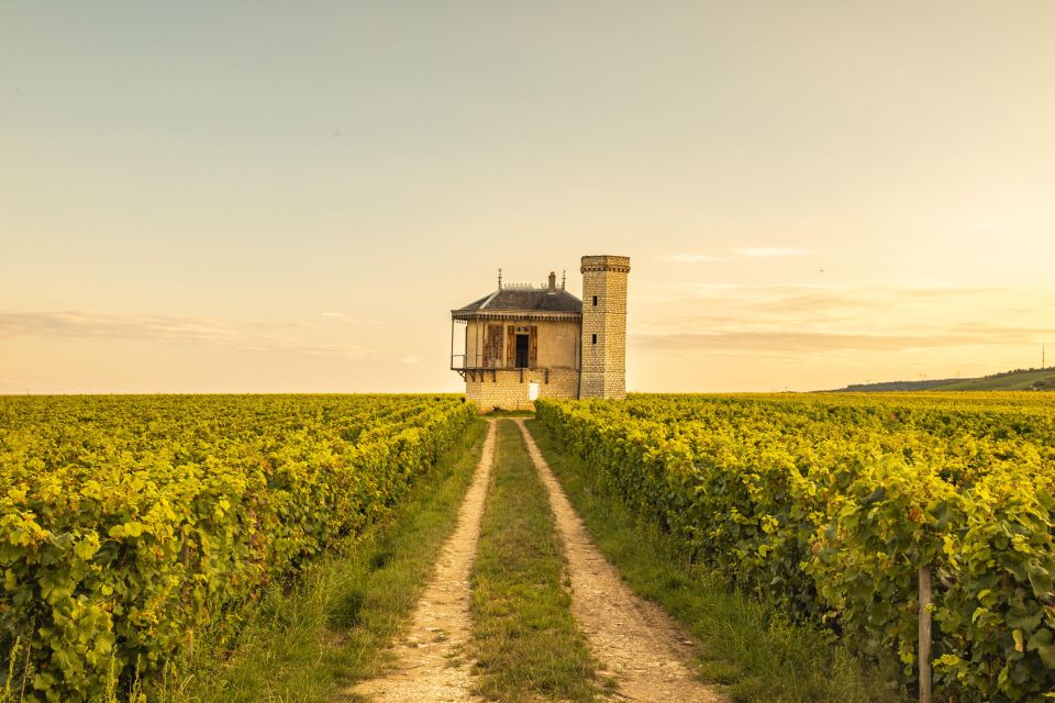 Private Wine Tour in Cote De Nuits and Cote De Beaune - Highlights of the Tour