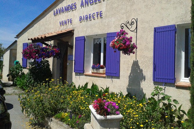 Provence Lavender Fields Tour in Valensole From Marseille - Exploring Valensole Village