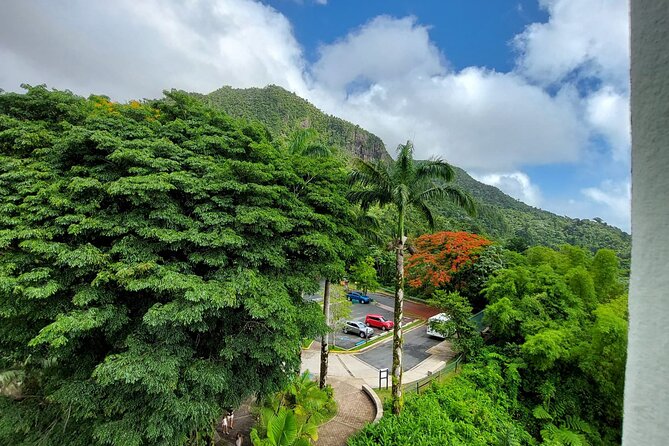 Puerto Rico: El Yunque Sightseeing Half-Day Tour With Transfer - Trails, Waterfalls, and Observation Tower