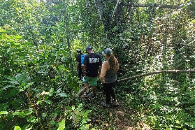 Puerto Rico Tour to El Yunque Rainforest Hiking to Waterfall - Group Size and Fitness Level