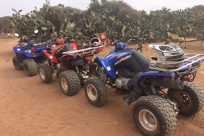 Quad Adventure - in Agadir, Dunes, Forest, BEACH - Managed Group Experience