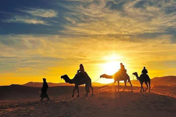 Quad Bike & Camel Ride & Dinner Show In Agafay Desert - Cancellation Policy