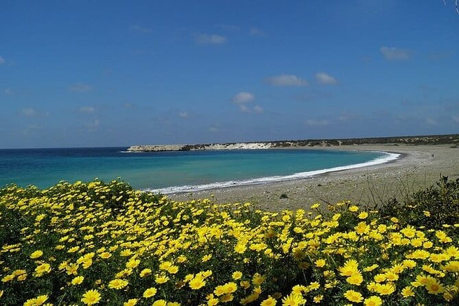 Quad or Buggy Tour From Coral Bay to Lara Bay - Price