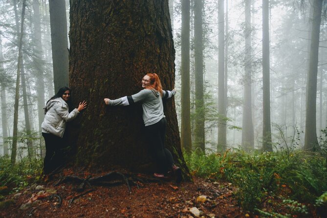 Quarry Rock Hike and Deep Cove Photography - Scenic Views and Photography