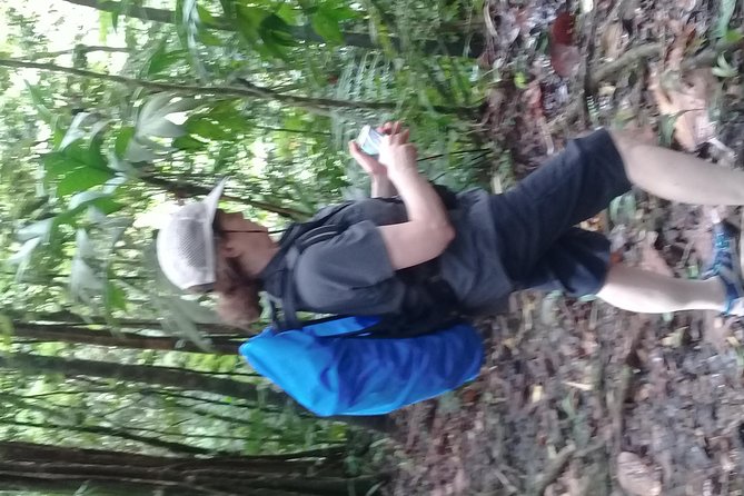 Rain Forest and Bird Watching - Enjoying the Waterfall Dip