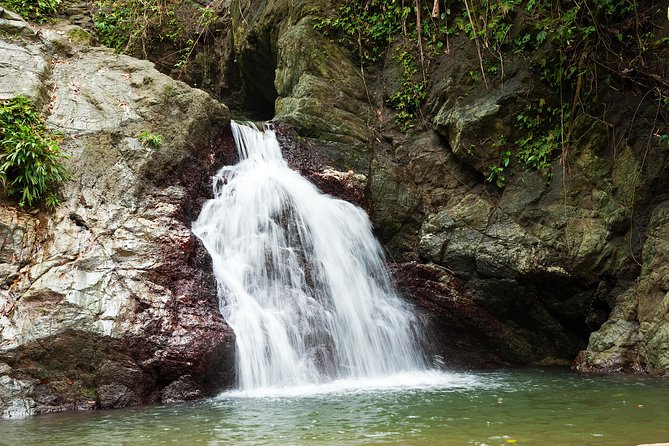 Rainforest Tour - Wildlife Observation