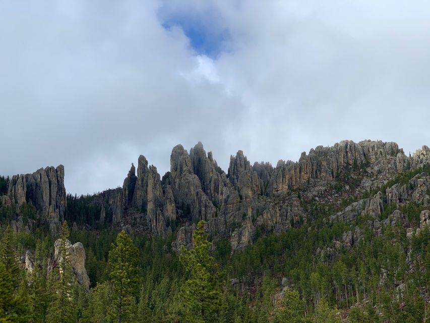 Rapid City: Private Black Hills Monuments Full-Day Tour - Local Fauna and Flora